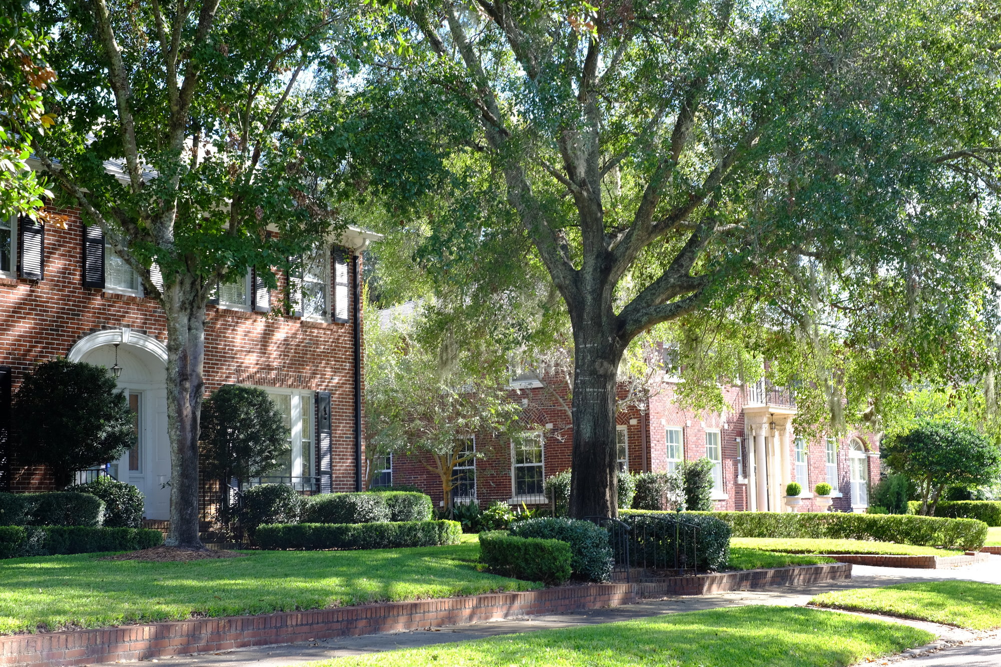 Historic homes and tree lined sidewalks in Avondale Jacksonville